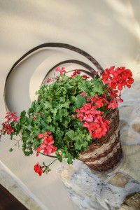 BabicinaKuhihnja-1 (1)