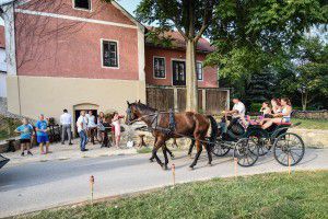 BabicinaKuhihnja-17 (1)