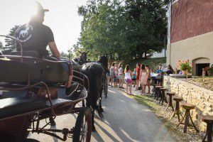 BabicinaKuhihnja-21 (1)